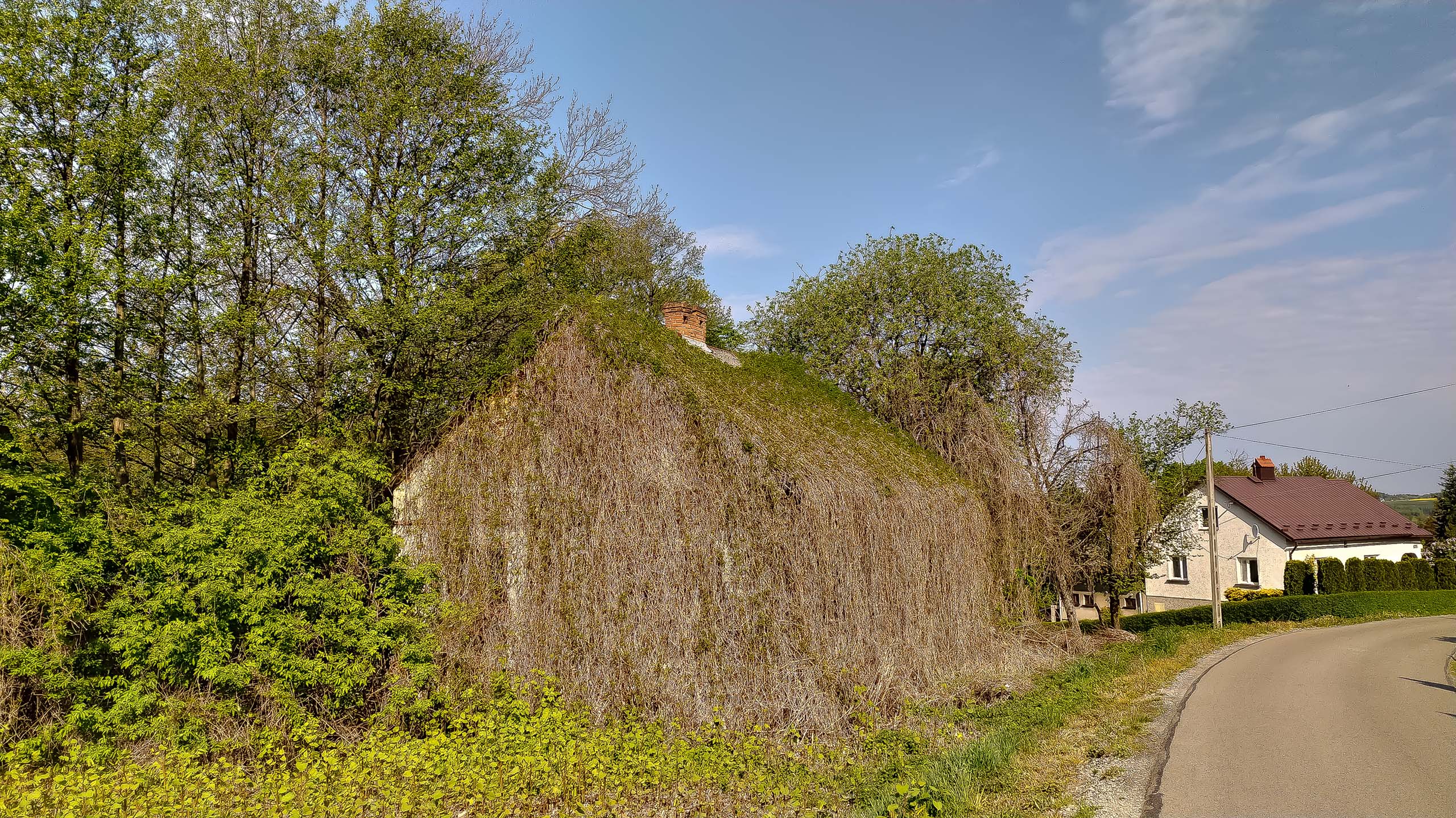 IMG 20200510 085037 kopia